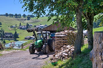 Es gibt immer etwas zu tun