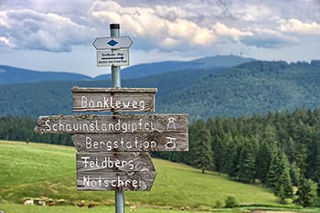 Wandern auf dem Schauinsland